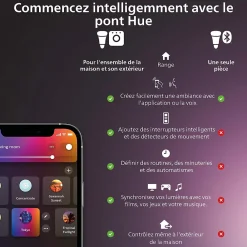 Philips Hue Accessoire pour maison connectée IP42 blanc