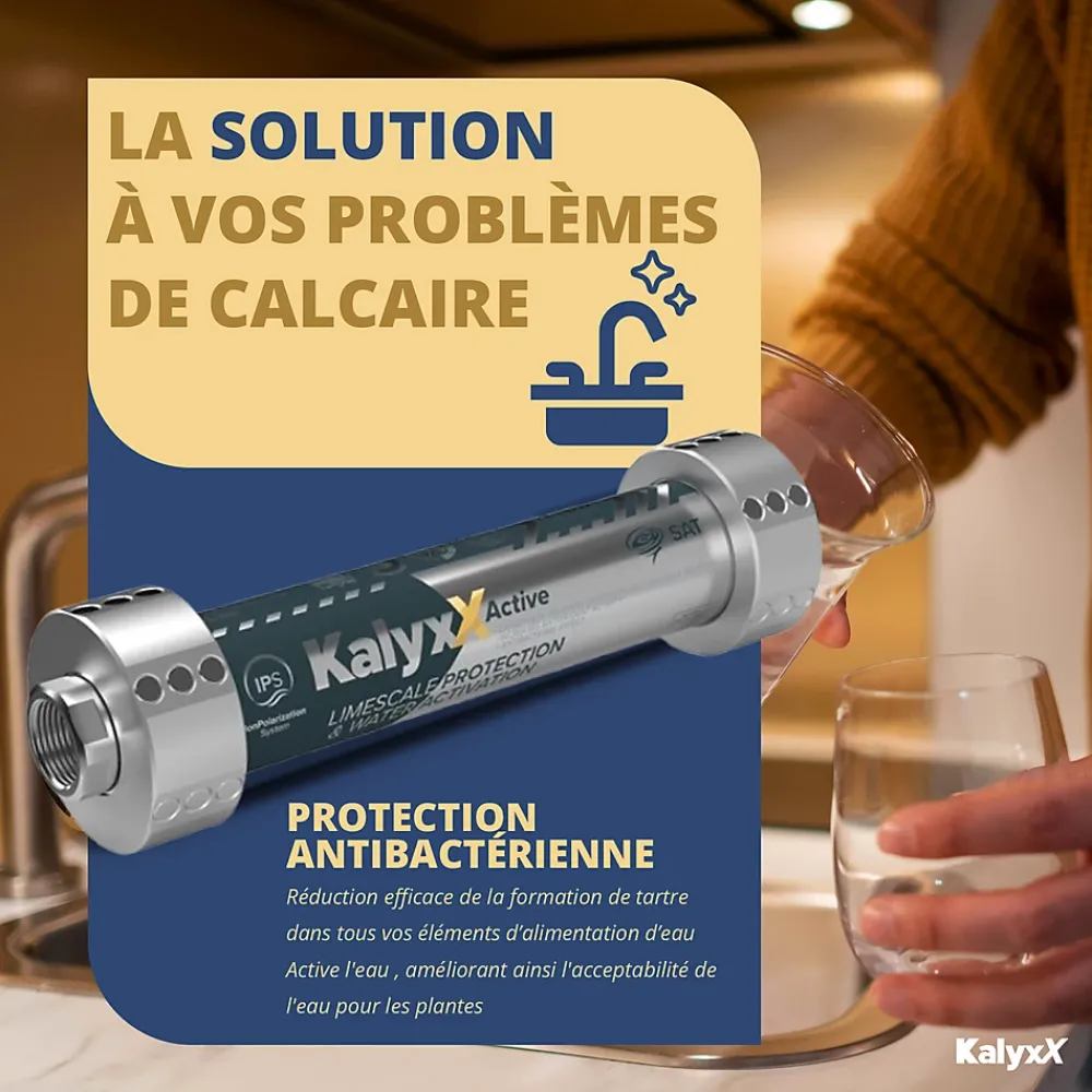 Swiss Aqua Technologies Adoucisseur d'eau Anticalcaire Antibacterien innovant IPS Kalyxx Active G1 " femelle (IPSKXAG1)