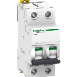 Schneider Electric Disjoncteur Et Coupe-Circuit-A9f75204 - Disjoncteur Courbe D Bipolaire 4a - 2p - 50ka - à Vis - Acti9 Ic60n