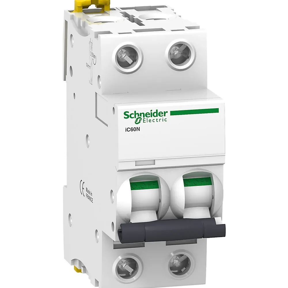 Schneider Electric Disjoncteur Et Coupe-Circuit-A9f75204 - Disjoncteur Courbe D Bipolaire 4a - 2p - 50ka - à Vis - Acti9 Ic60n