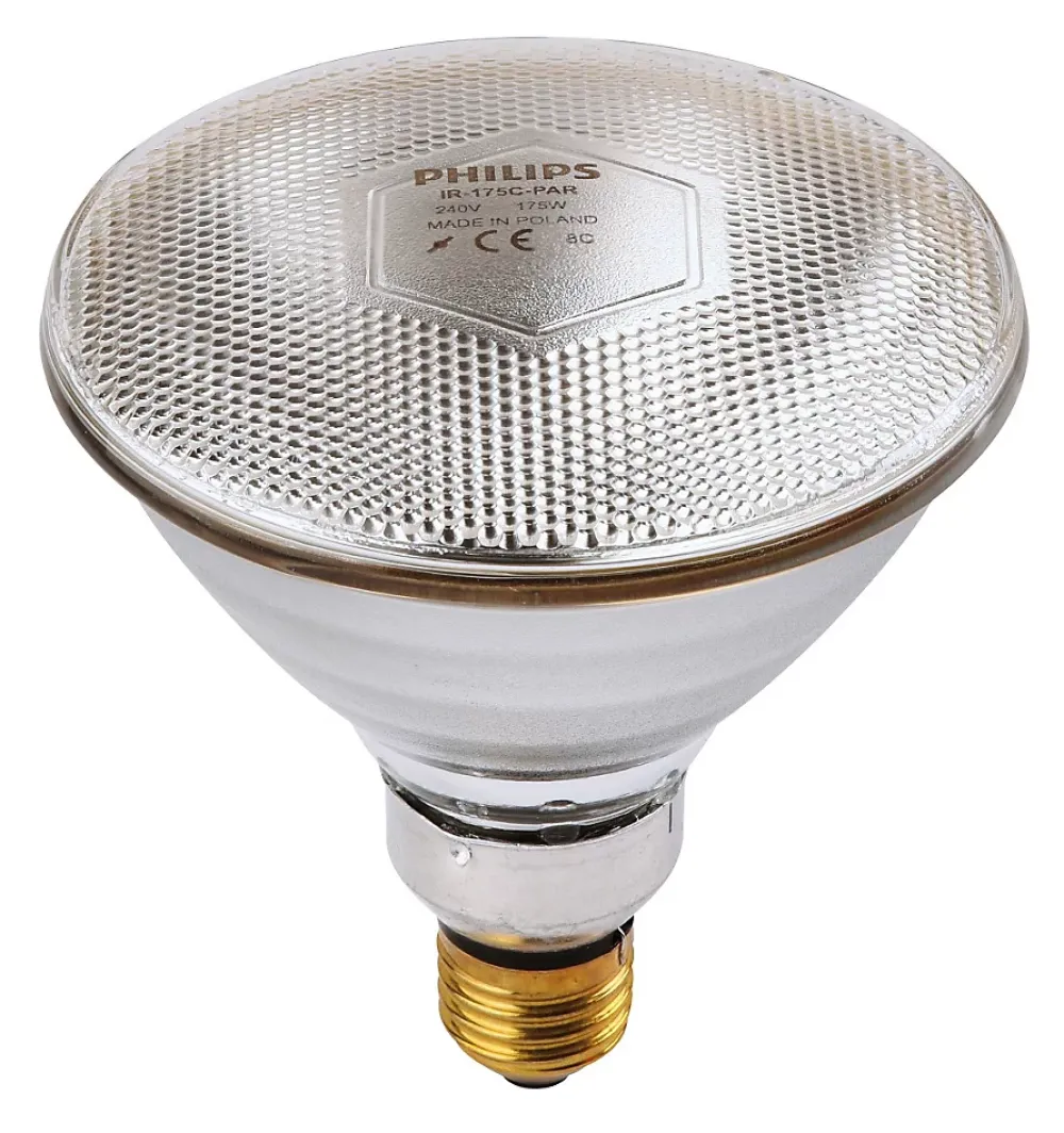 Philips Ampoule IR/PAR blanche 100W