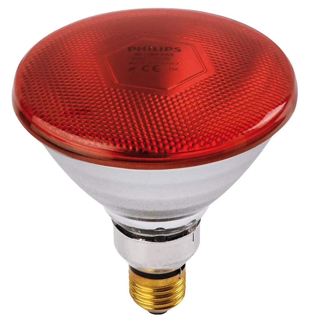 Philips Station De Filtration-Ampoule IR/PAR rouge 100W