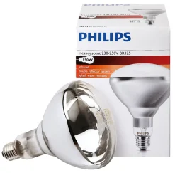 Philips Station De Filtration-Ampoule IR à vis blanche 150W