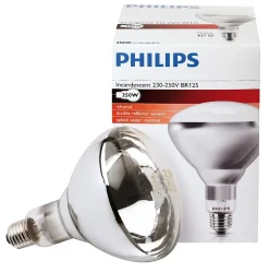 Philips Ampoule IR à vis blanche 250W