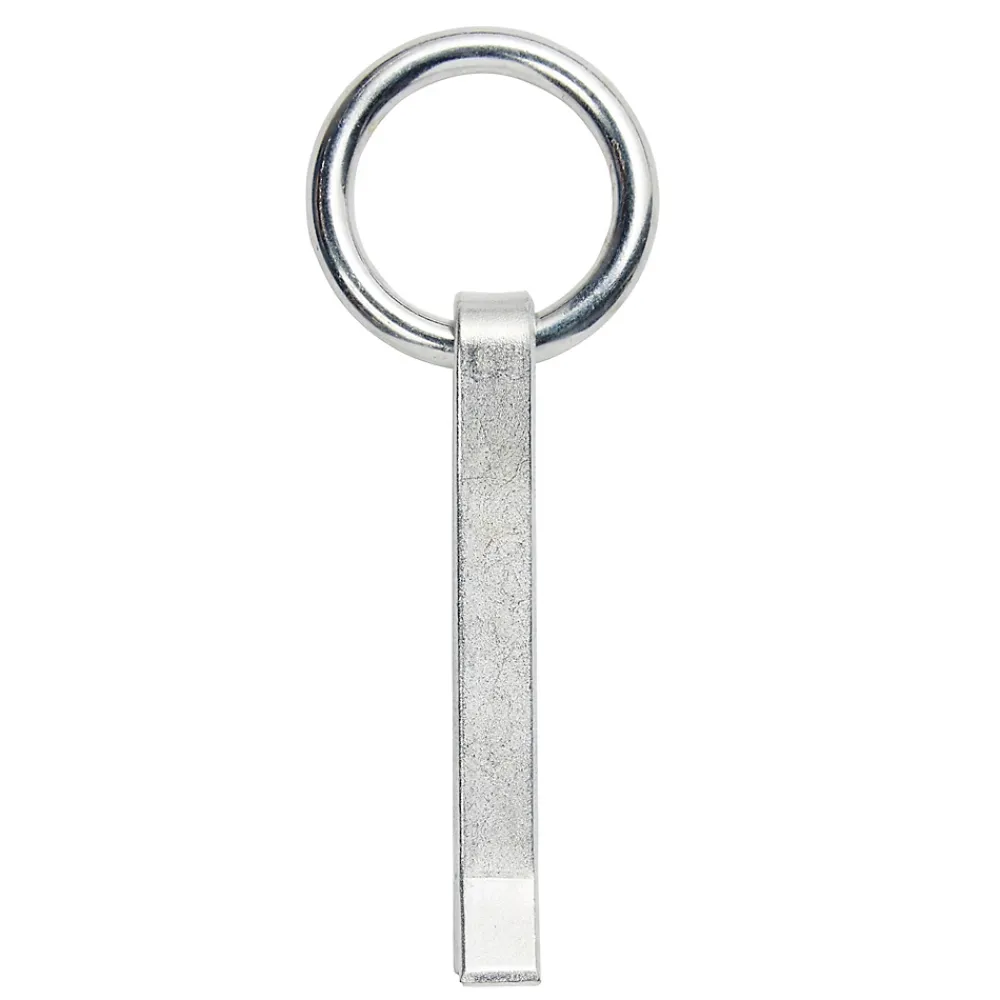 Diall Anneau d'écurie à sceller ø10 x l. 110 mm