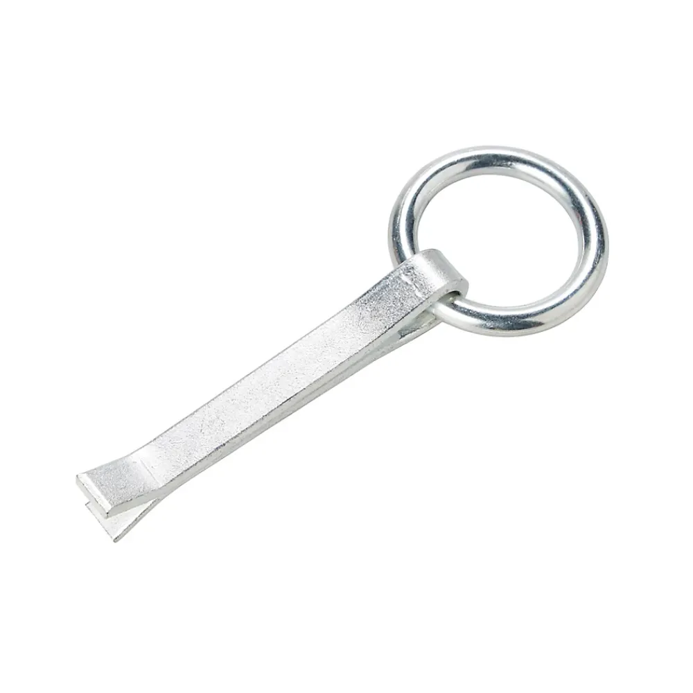 Diall Anneau d'écurie à sceller ø10 x l. 110 mm