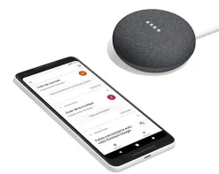 Google Assistant vocal mini anthracite