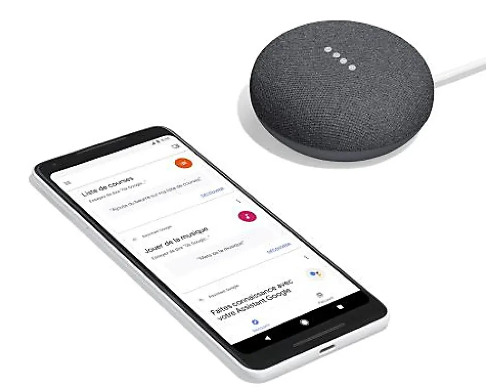 Google Assistant vocal mini anthracite