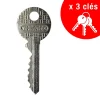 Thirard Serrure De Meuble|Serrure De Meuble-Batteuse BAL, compatible avec la distribution postale, épaisseur maxi 1,2mm, 2 cames, 2 clés -
