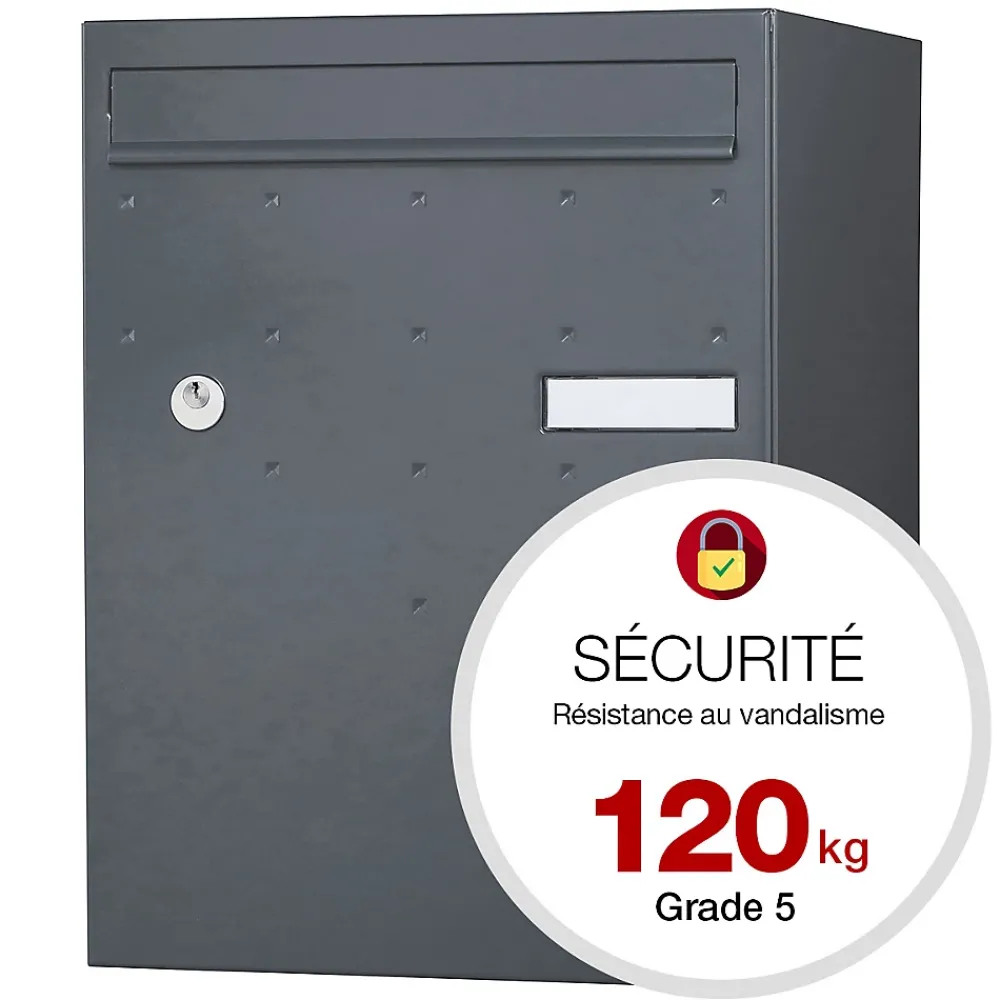 Renz Boite à colis Atout 1 porte gris anthracite mat sablé RAL 7016 MS