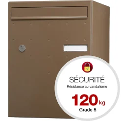 Renz Boite à colis Atout 1 porte Taupe brillant RAL 7006 B