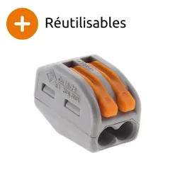 Wago Borne rapide automatique à cliquet S222 - 2 entrées -