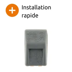 Wago Borne rapide automatique à cliquet S222 - 2 entrées -