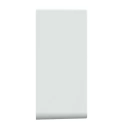 Schneider Electric Boîte d'encastrement diamètre 36 mm Ovalis blanc