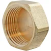 Somatherm for you Bouchon laiton Femelle 12/1 (1/2"), lot de 2