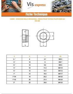 Vis Express Cache Vis Et Cache Trou-Bouchon mâle hexagonal creux à visser SW12 3/4 12X13.7 Inox A2 - 1 pièce