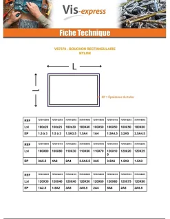 Vis Express Cache Vis Et Cache Trou-Bouchon rectangle pour tube 100X50 épaisseur tole du tube 1 à 4 nylon noir - 30 pièces