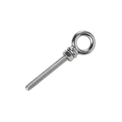 Diall Boulon à oeil en inox 60 mm Acier inoxydable