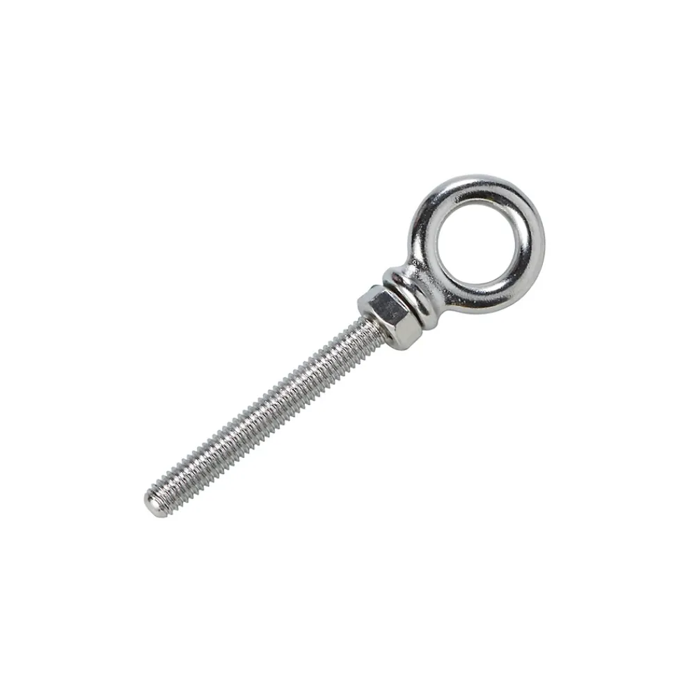 Diall Boulon à oeil en inox 60 mm Acier inoxydable