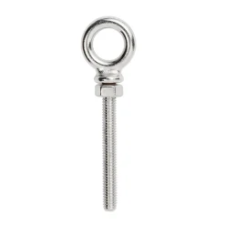 Diall Boulon à oeil en inox 60 mm Acier inoxydable