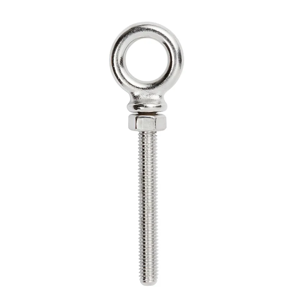 Diall Boulon à oeil en inox 60 mm Acier inoxydable