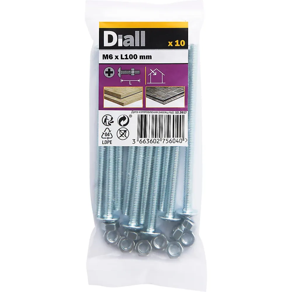 Diall Boulon-10 boulons poêlier tête plate 6 x 100 mm