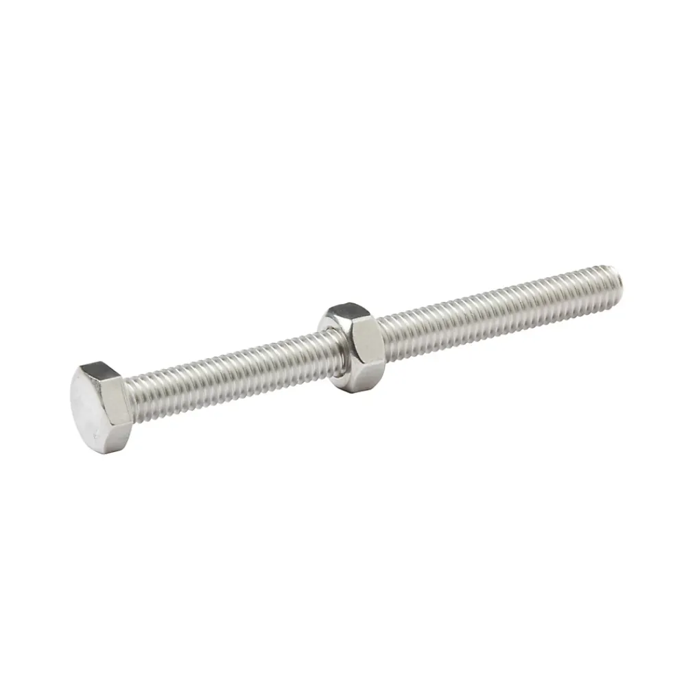 Diall 10 boulons tête héxagonale inox 6 x 70 mm