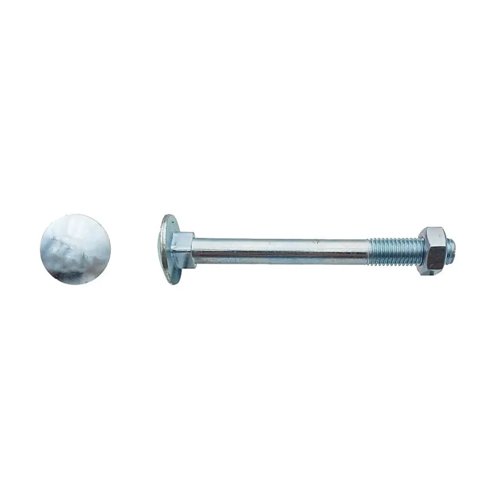 D-Work Boulon-200 Boulons Tête Ronde Collet Carré TRCC 5 x 70 mm - DIN 603 - Zingué blanc -