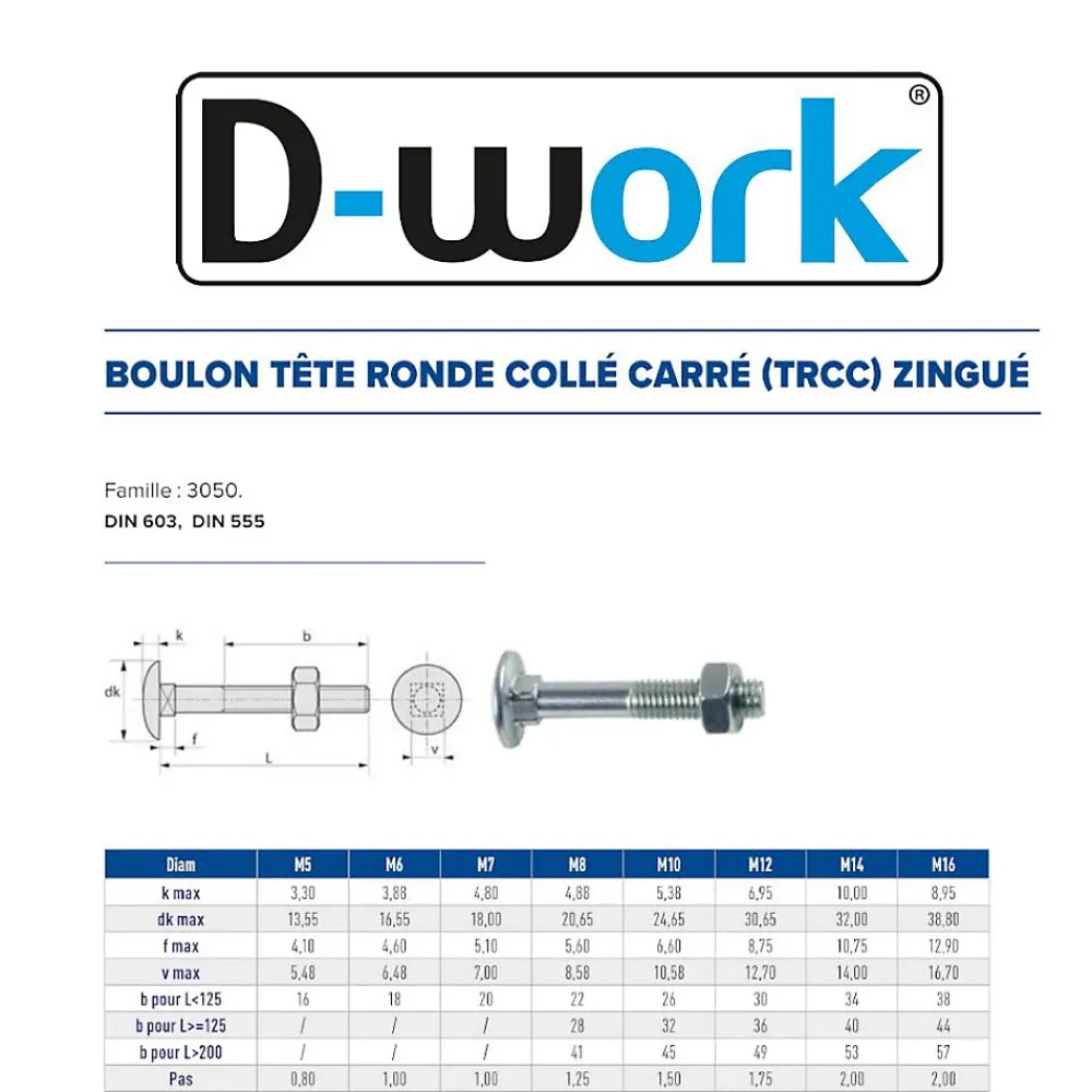 D-Work 100 Boulons Tête Ronde Collet Carré TRCC 7 x 60 mm - DIN 603 - Zingué blanc -