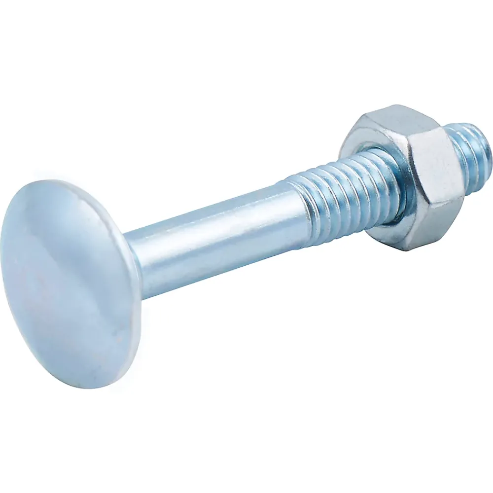 Diall 10 boulons tête ronde collet carré 6 x 40 mm