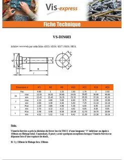 Vis Express Boulon-Boulon (vendu avec Ecrou) TRCC JAPY tête ronde collet carré M6X60 Filetage partiel Acier zingué - 30 pièces