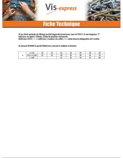 Vis Express Boulon-Boulon (vendu avec Ecrou) TRCC JAPY tête ronde collet carré M6X60 Filetage partiel Acier zingué - 30 pièces