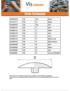 Vis Express Cache vis Tête fraisée TORX TORX T25 Diamètre de tête: 13.5 nylon blanc - 100 pièces