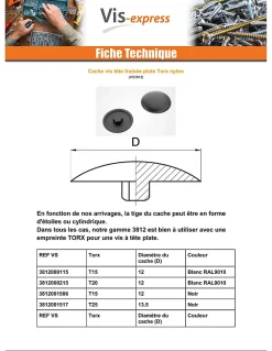 Vis Express Cache vis Tête fraisée TORX TORX T20 Diamètre de tête: 12 Nylon RAL9010 blanc pur - 1 pièce