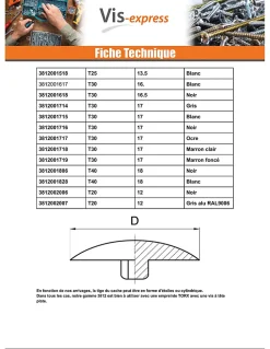 Vis Express Cache vis Tête fraisée TORX TORX T20 Diamètre de tête: 12 Nylon RAL9010 blanc pur - 1 pièce