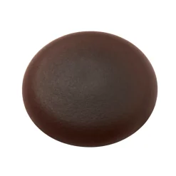 Diall Cache Vis Et Cache Trou-Cache-vis vis marron ø10-12 mm - 20 pièces