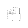 Thirard Cadenas, Antivol-Cadenas à clé Cinox, inox, extérieur, anse inox, 60mm, 3 clés -