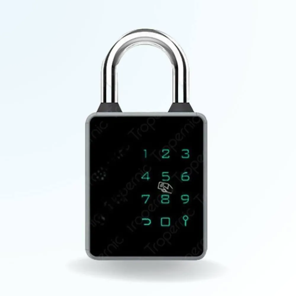 LOCKY Serrure Et Gâche Électrique-Cadenas à code et badge connecté pad - code, badge, bluetooth, et clé de secours