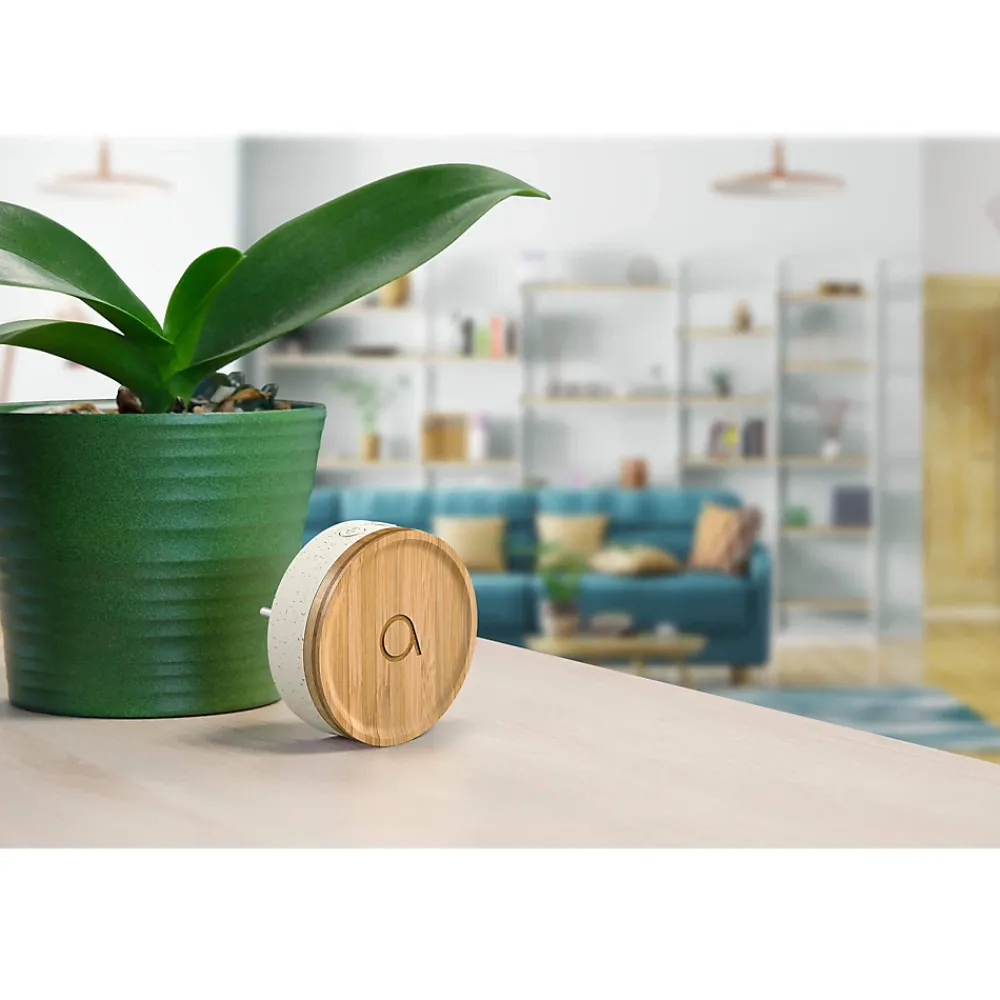 Avidsen 2 Carillons Bamboo et 1 bouton sans fil sans pile Bamboo