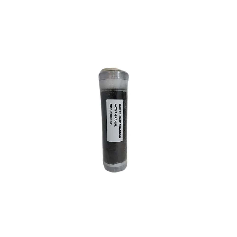 Orion Cartouche charbon actif filtre à eau anti-goût et odeur