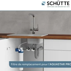 Schütte Cartouche Filtrante BWT pour mitigeur filtrant AQUASTAR Pro