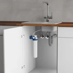 Schütte Cartouche Filtrante BWT pour mitigeur filtrant AQUASTAR Pro