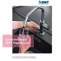 BWT Cartouche Magnesium Mineralizer Water Mp200 - Cartouche De Remplacement Pour Aqa Drink Pure