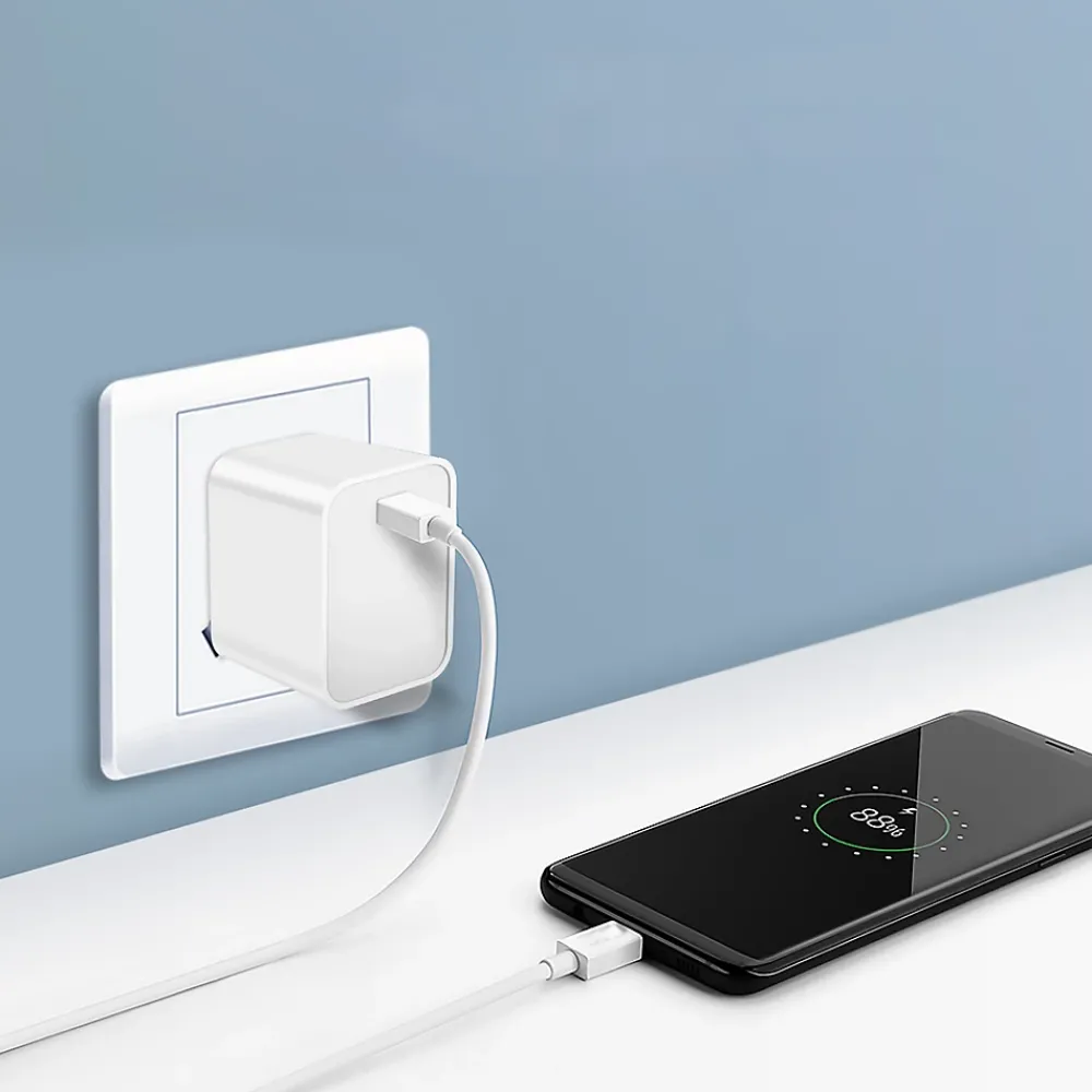 GAO Chargeur secteur 20W + Câble USB-C 1m
