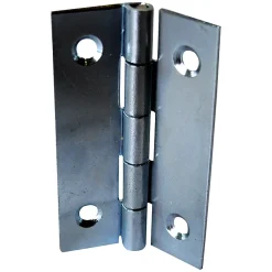 QCL 2 charnières acier zingué Diall 60 x 35 mm