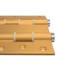 Hardwarexchange Charnière va et vient à ressort, 120X40 mm, en aluminium anodisée or, pour porte de 40 mm.
