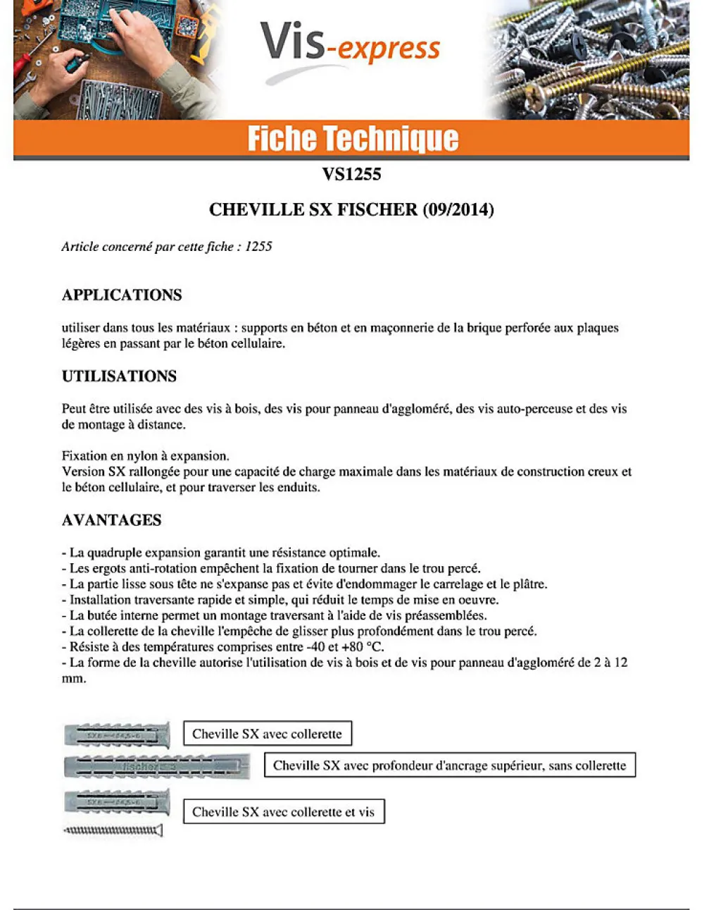 Fischer Kit De Chevilles-Cheville Nylon à collerette SX 6X50 - 100 pièces