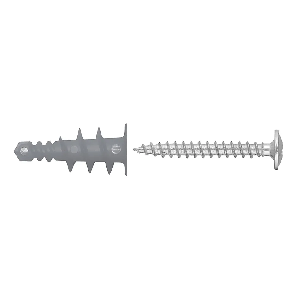 Diall Cheville Autoforeuse-100 chevilles autoforeuses nylon PZ L37