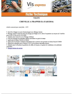 O91 Chevilles à frapper EA II - Acier, électro zingué-48406 (boite de 25 pieces)