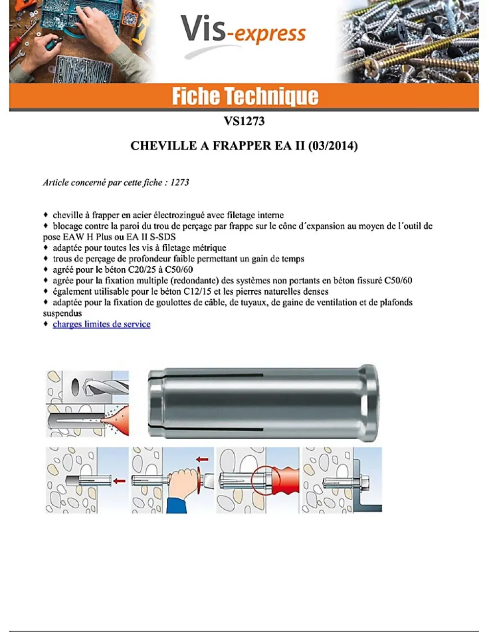 O91 Chevilles à frapper EA II - Acier, électro zingué-48406 (boite de 25 pieces)